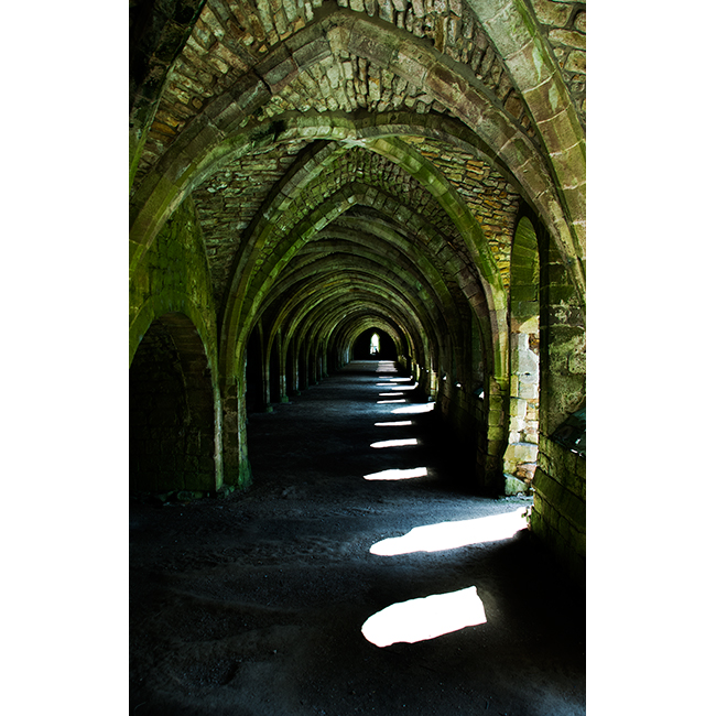 Cellar, Fountains Abbey