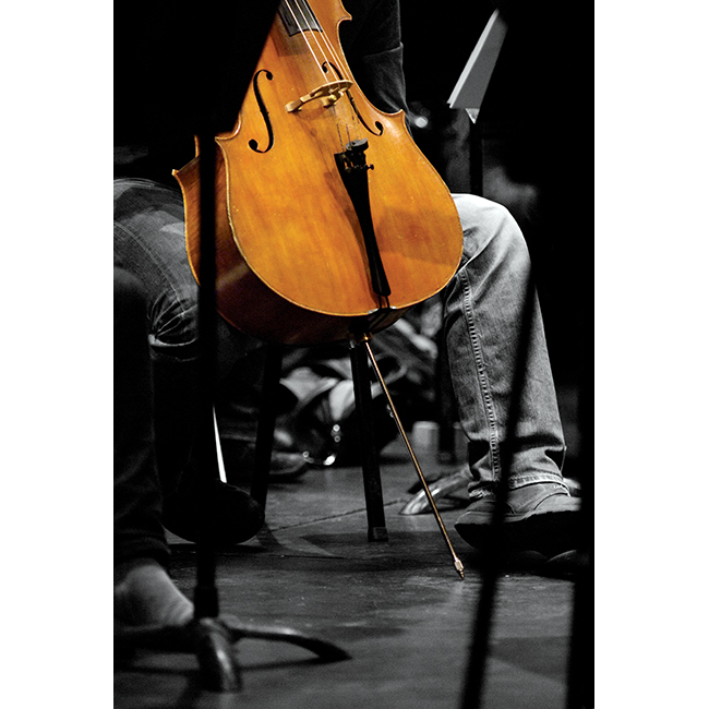 Cellist, Southern Sinfonia