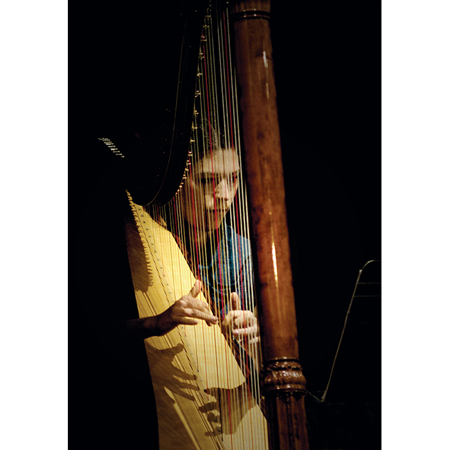Harpist, Southern Sinfonia